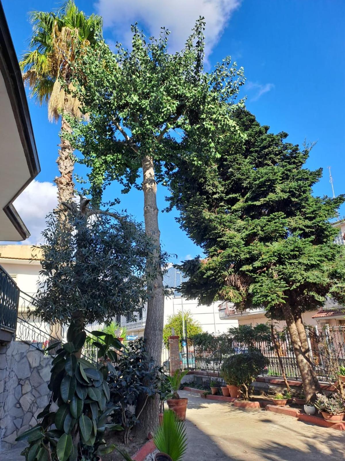 A Casa Di Luigi 2 Apartment Mugnano di Napoli Bagian luar foto